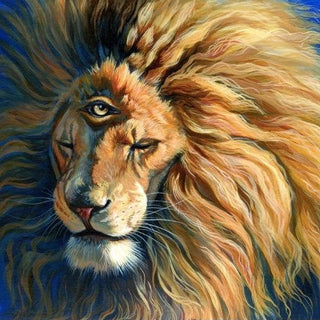 Lions Gate 8/8