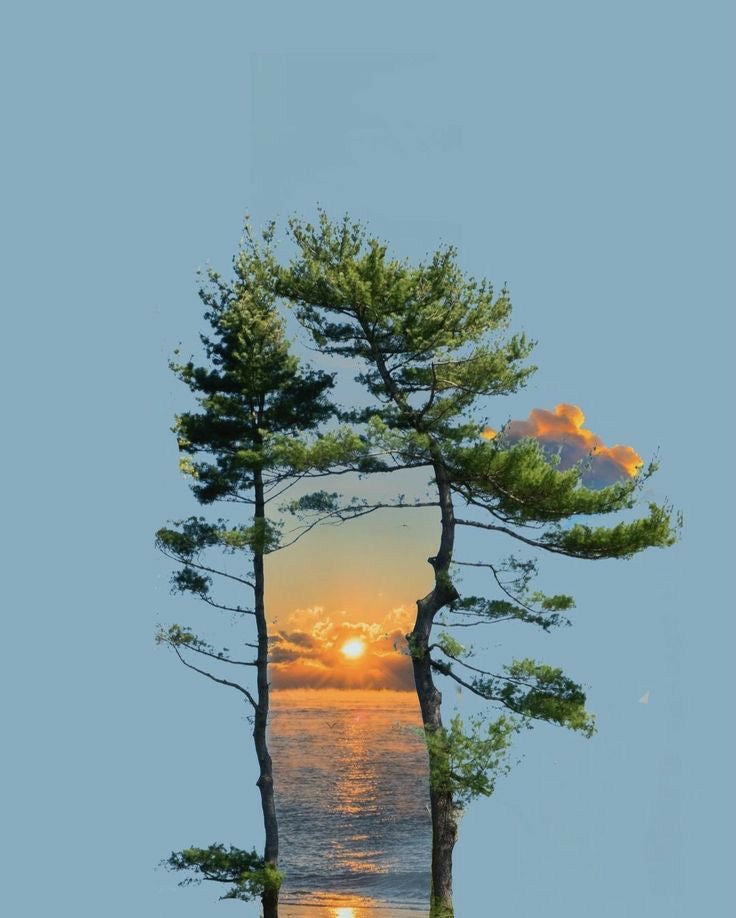 Mirrors – Activation Vibration