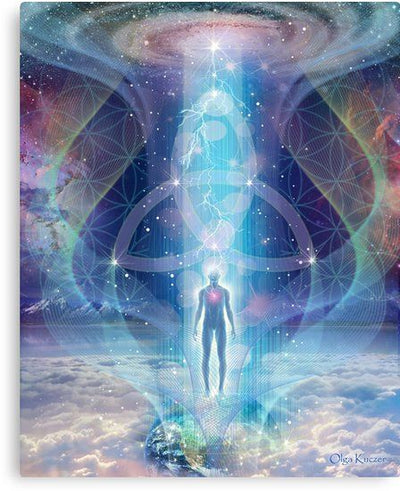 Chapters of Evolution