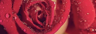 Sacral is the Sex Chakra