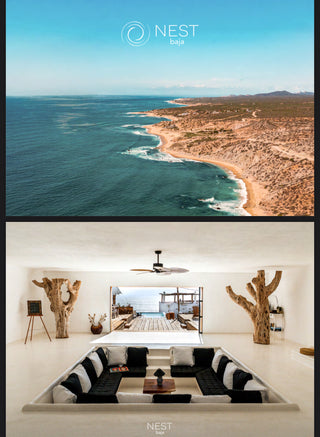 Quantum Rich Retreat