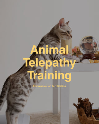 Animal Telepathy Training