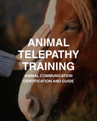 ANIMAL TELEPATHY: Communication and Certification Guide