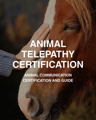 ANIMAL TELEPATHY: Communication and Certification Guide