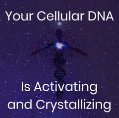 Cellular Upgrade Course: Activate Divine DNA